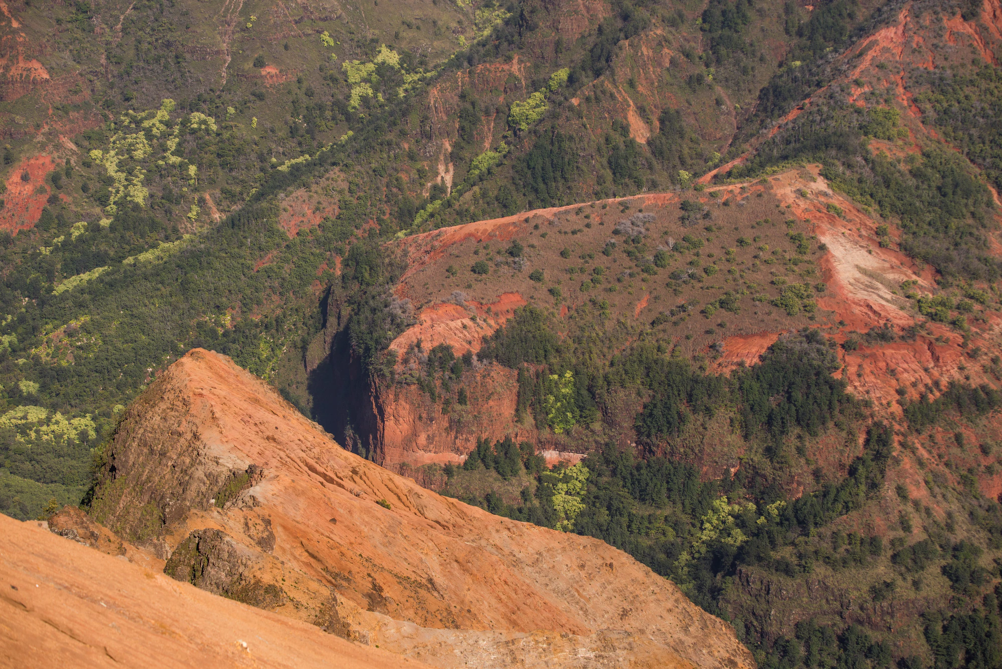 259 — Скачать