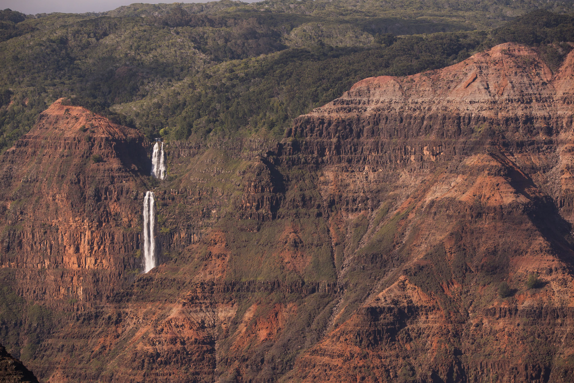 264 — Скачать