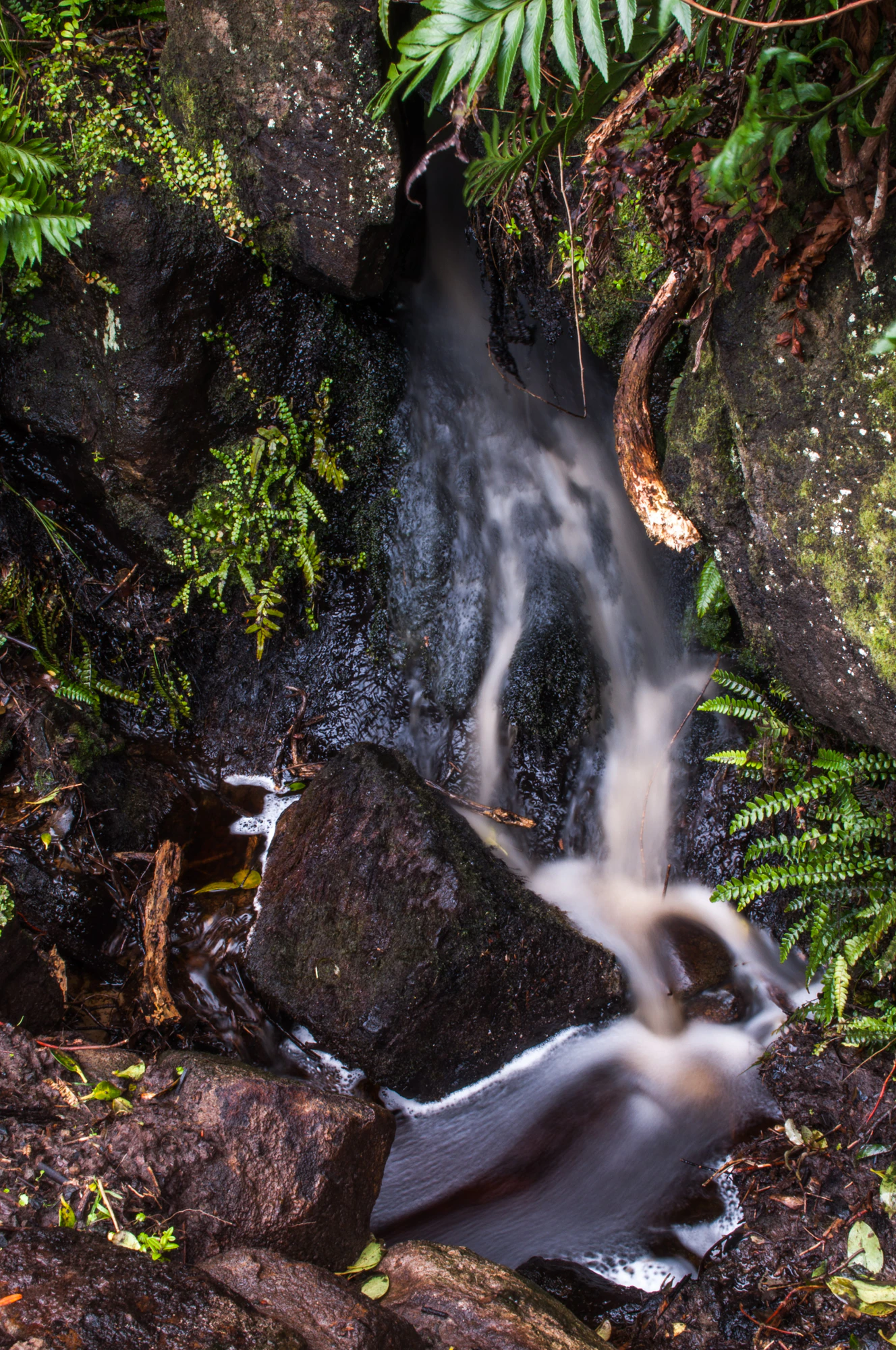 402 — Скачать