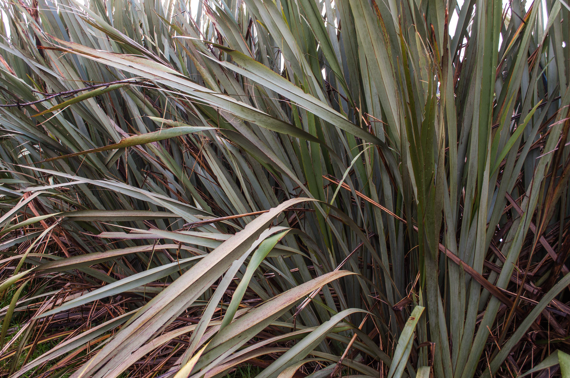 405 — Скачать