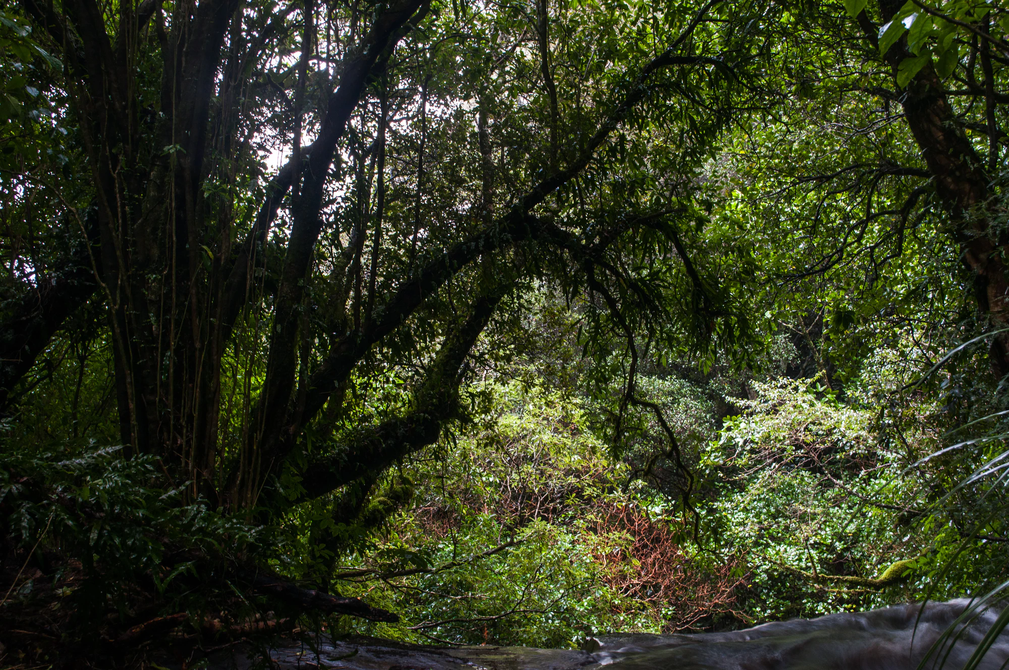 411 — Скачать