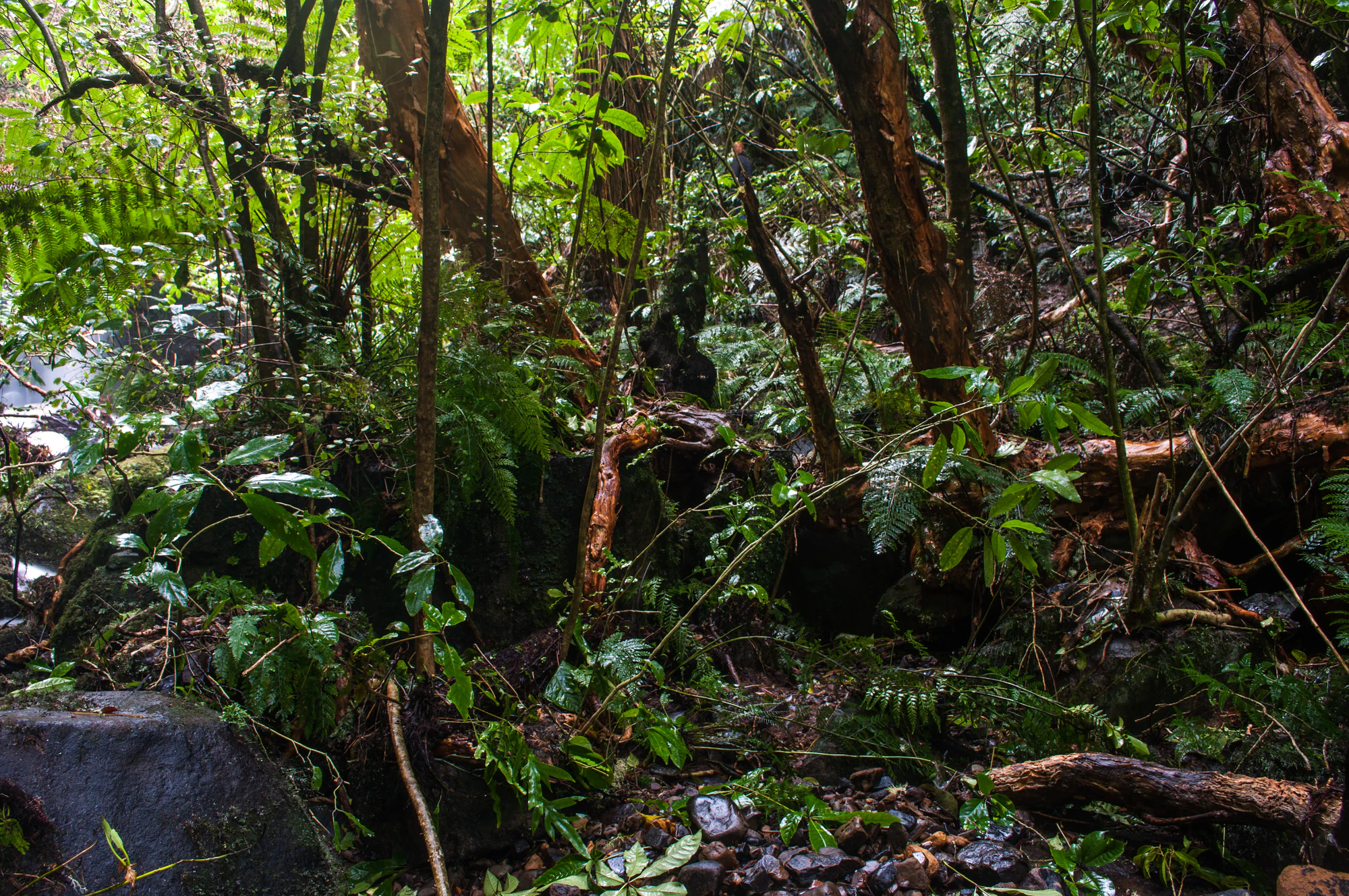 412 — Скачать