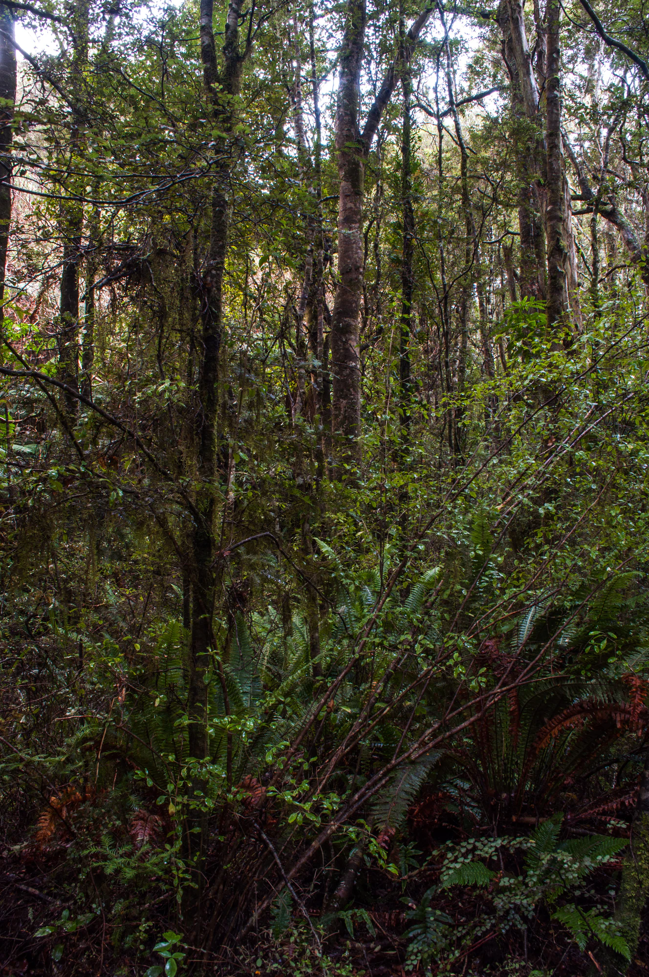 418 — Скачать