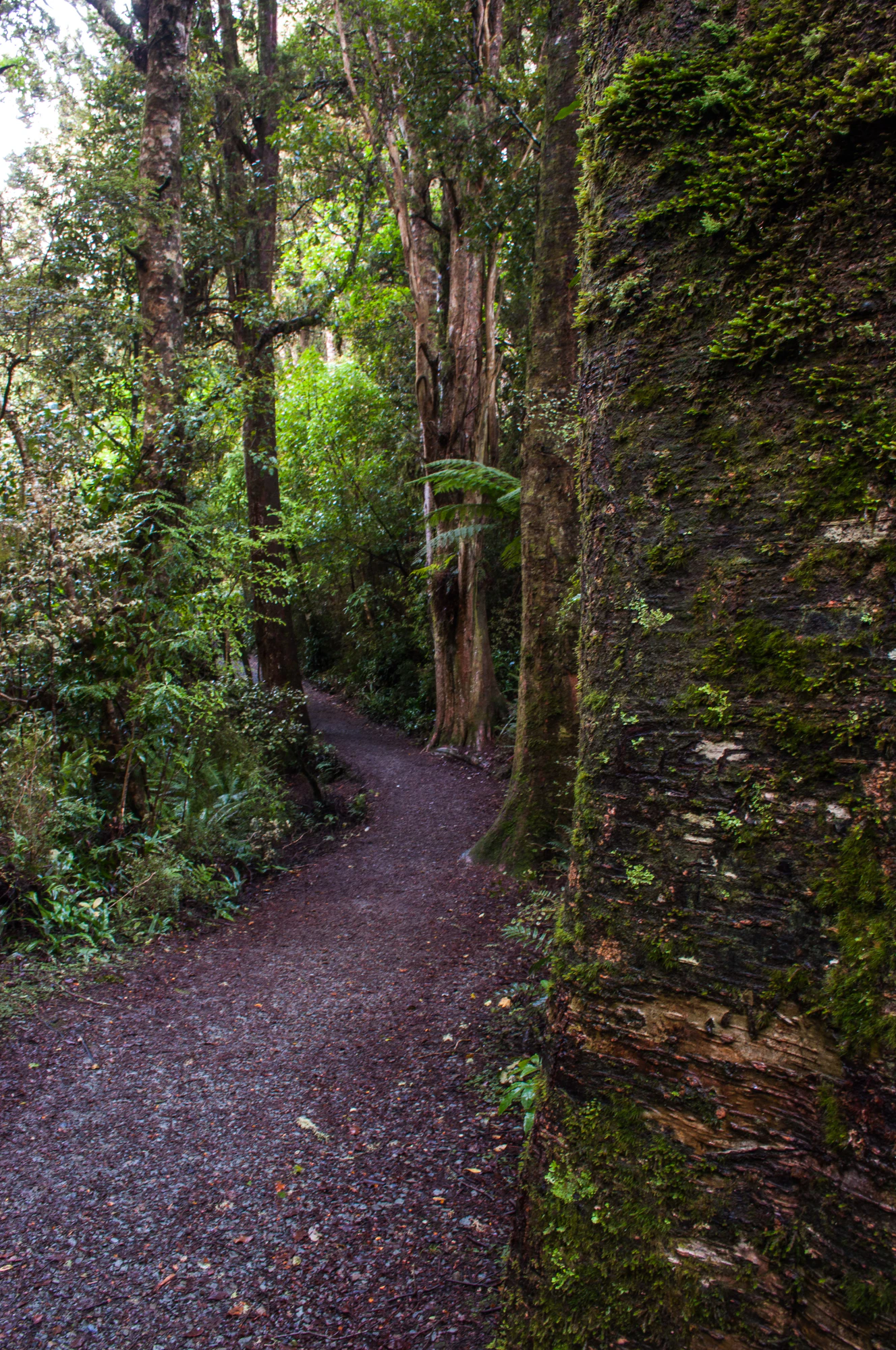 420 — Скачать