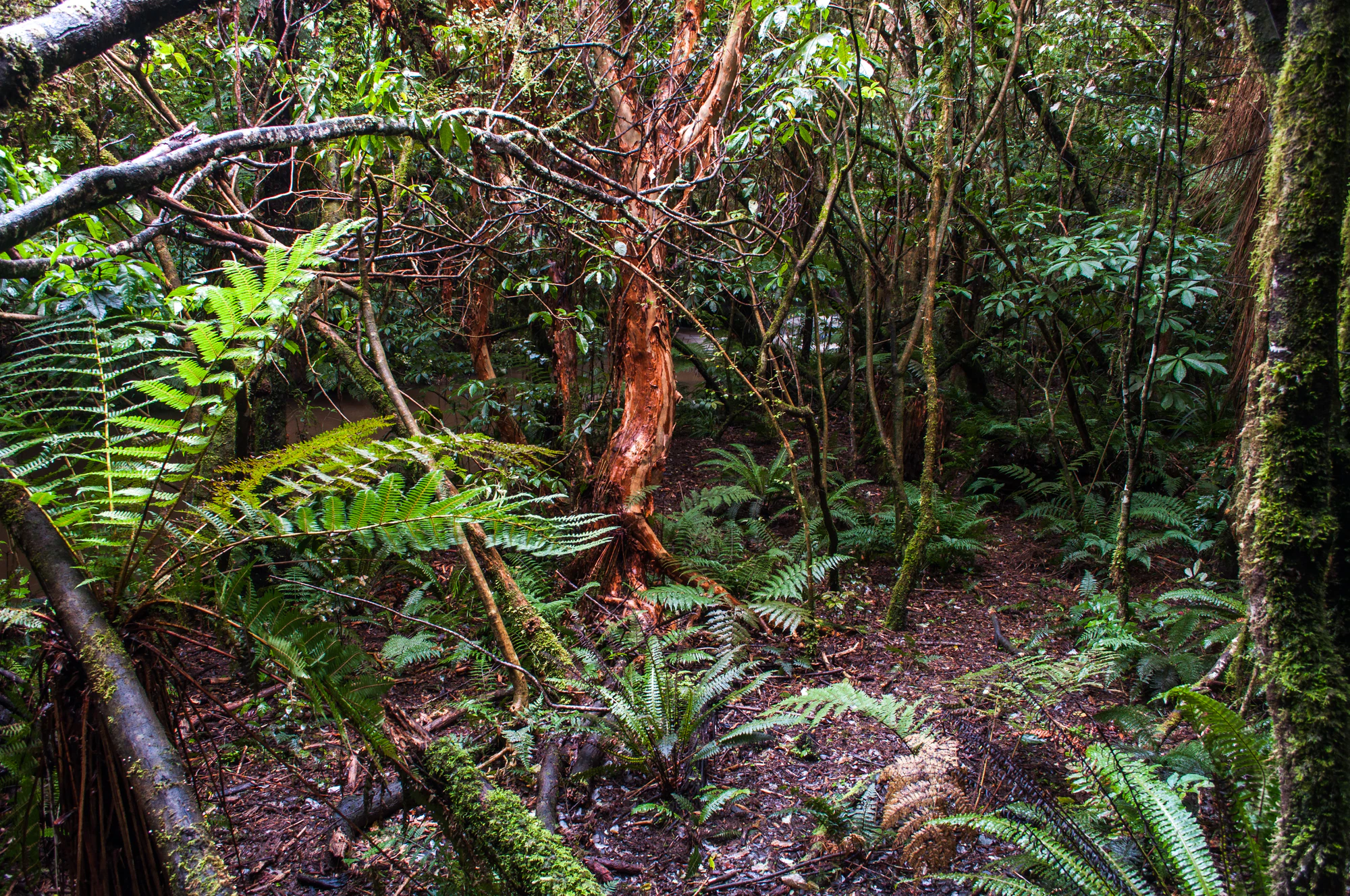 424 — Скачать