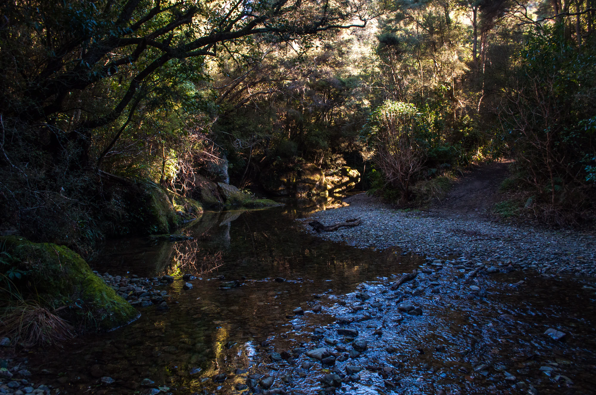 429 — Скачать