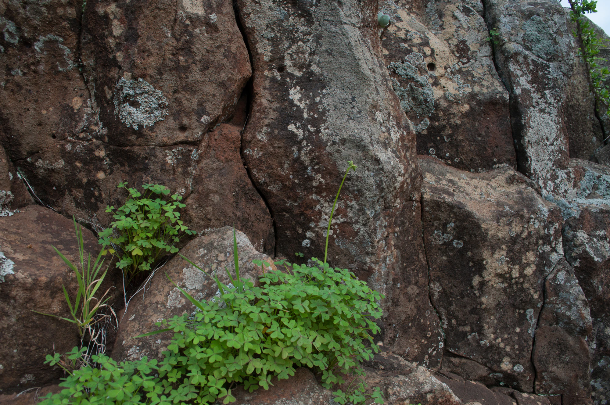 164 — Скачать