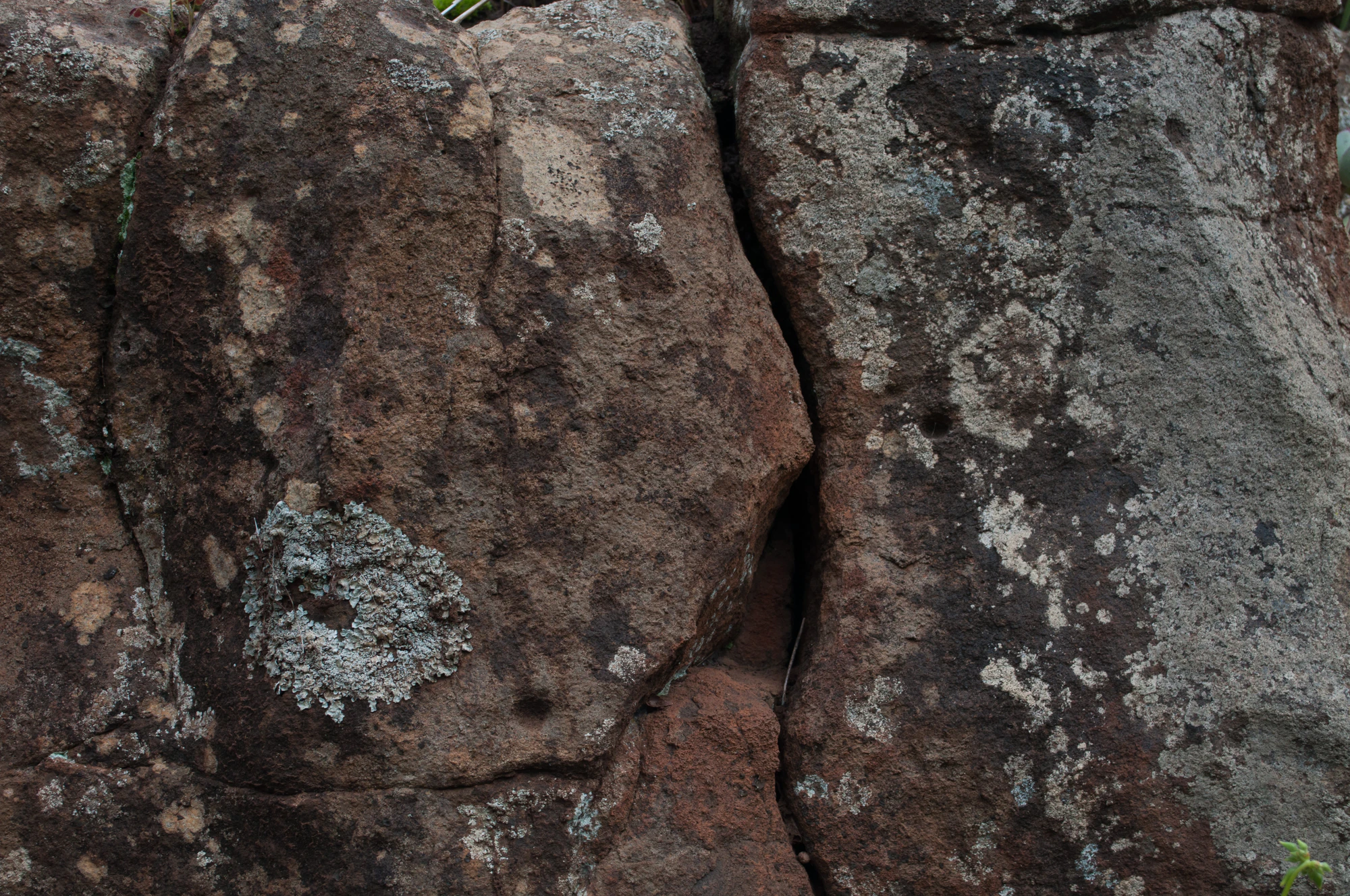 165 — Скачать