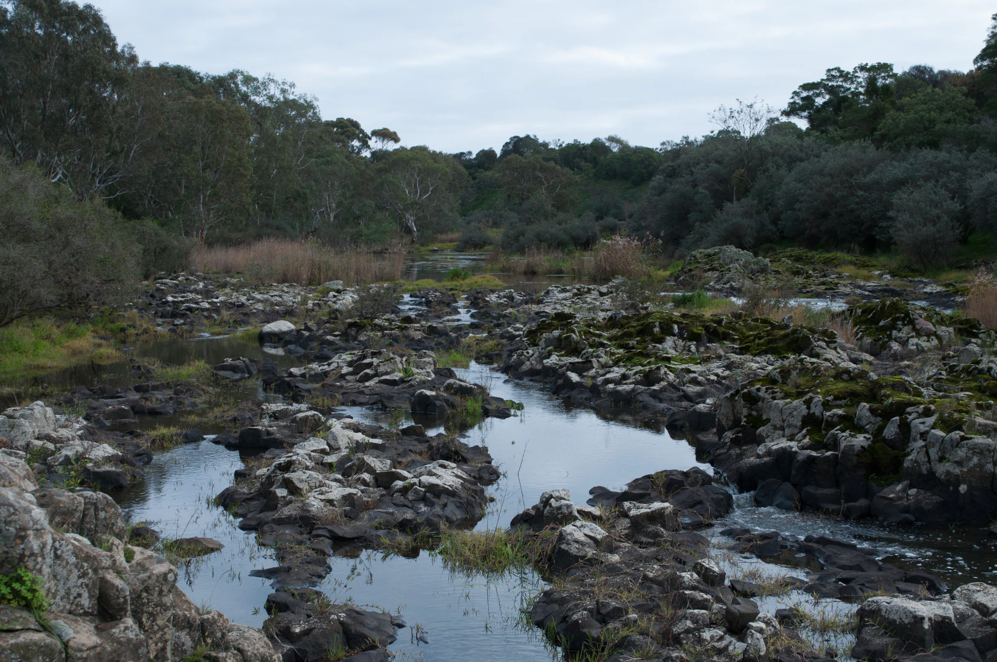 170 — Скачать