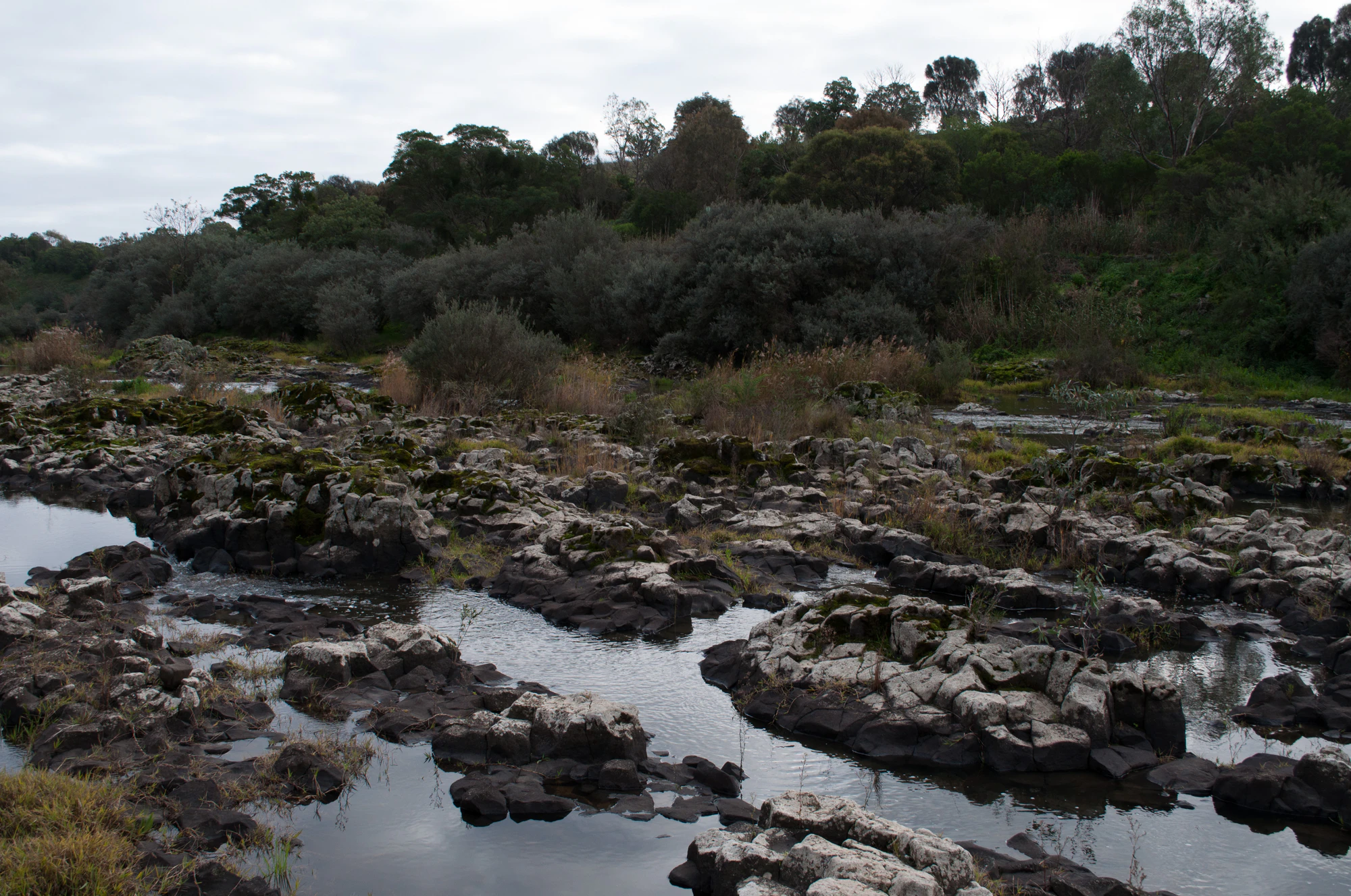 171 — Скачать