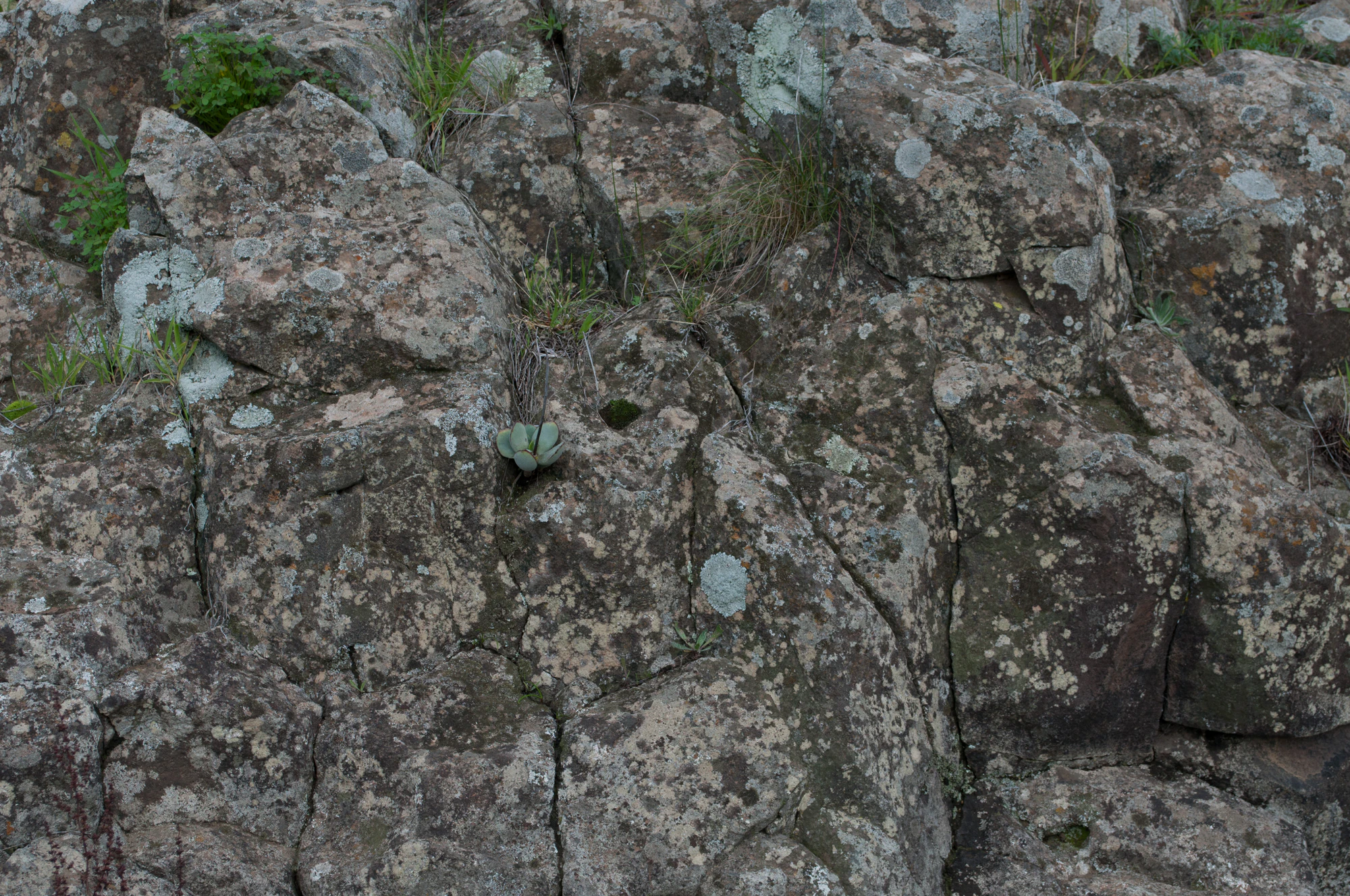 176 — Скачать