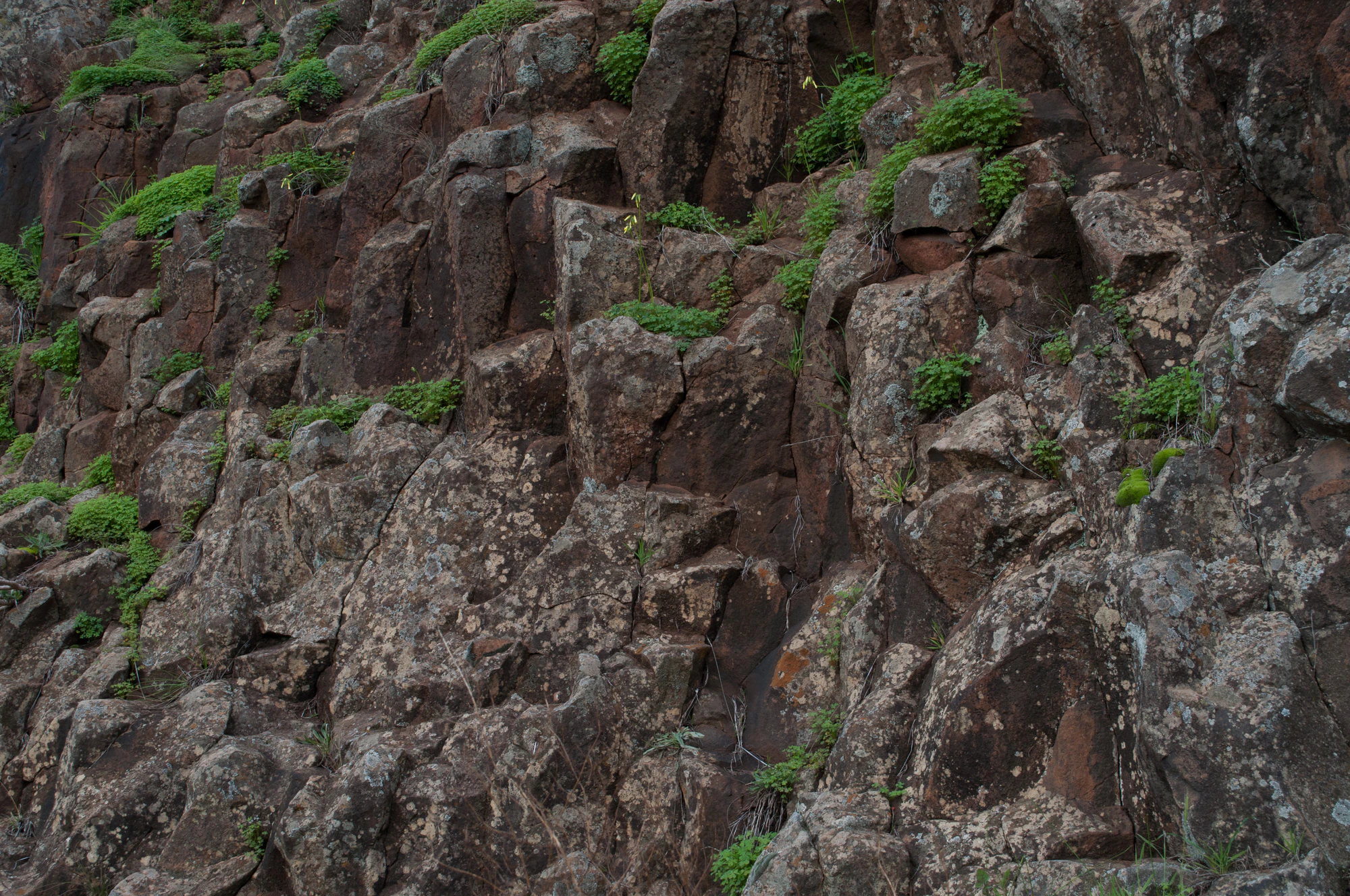 177 — Скачать