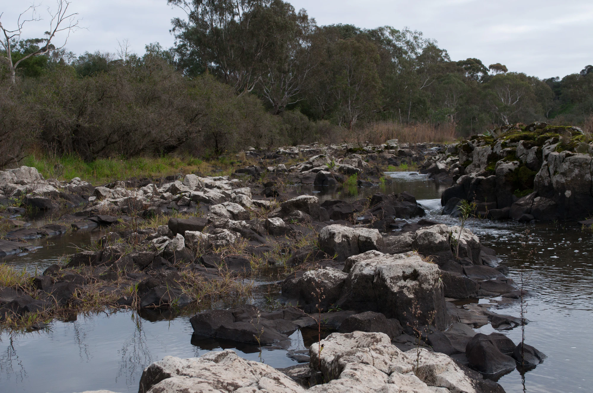 182 — Скачать