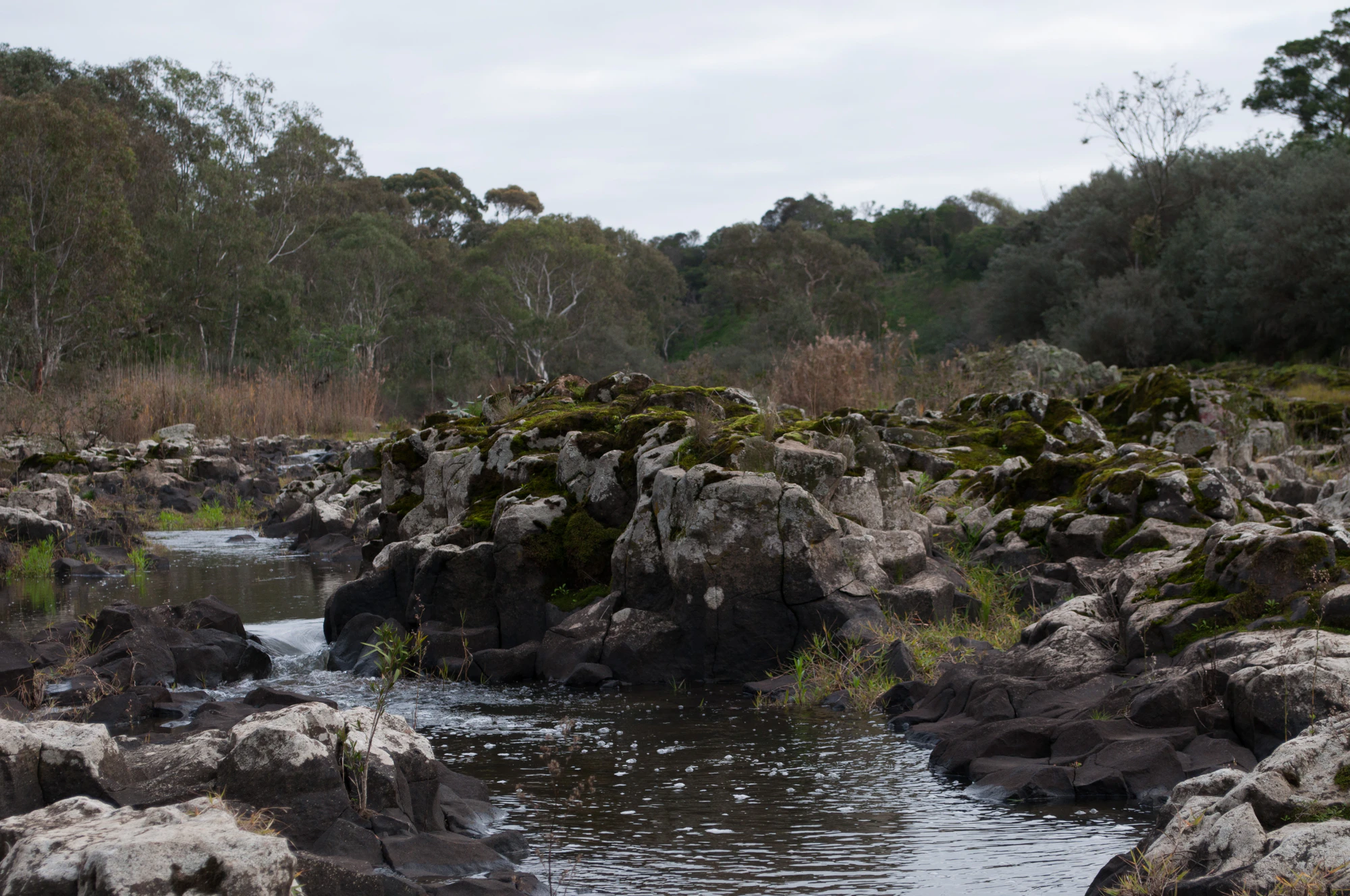 183 — Скачать