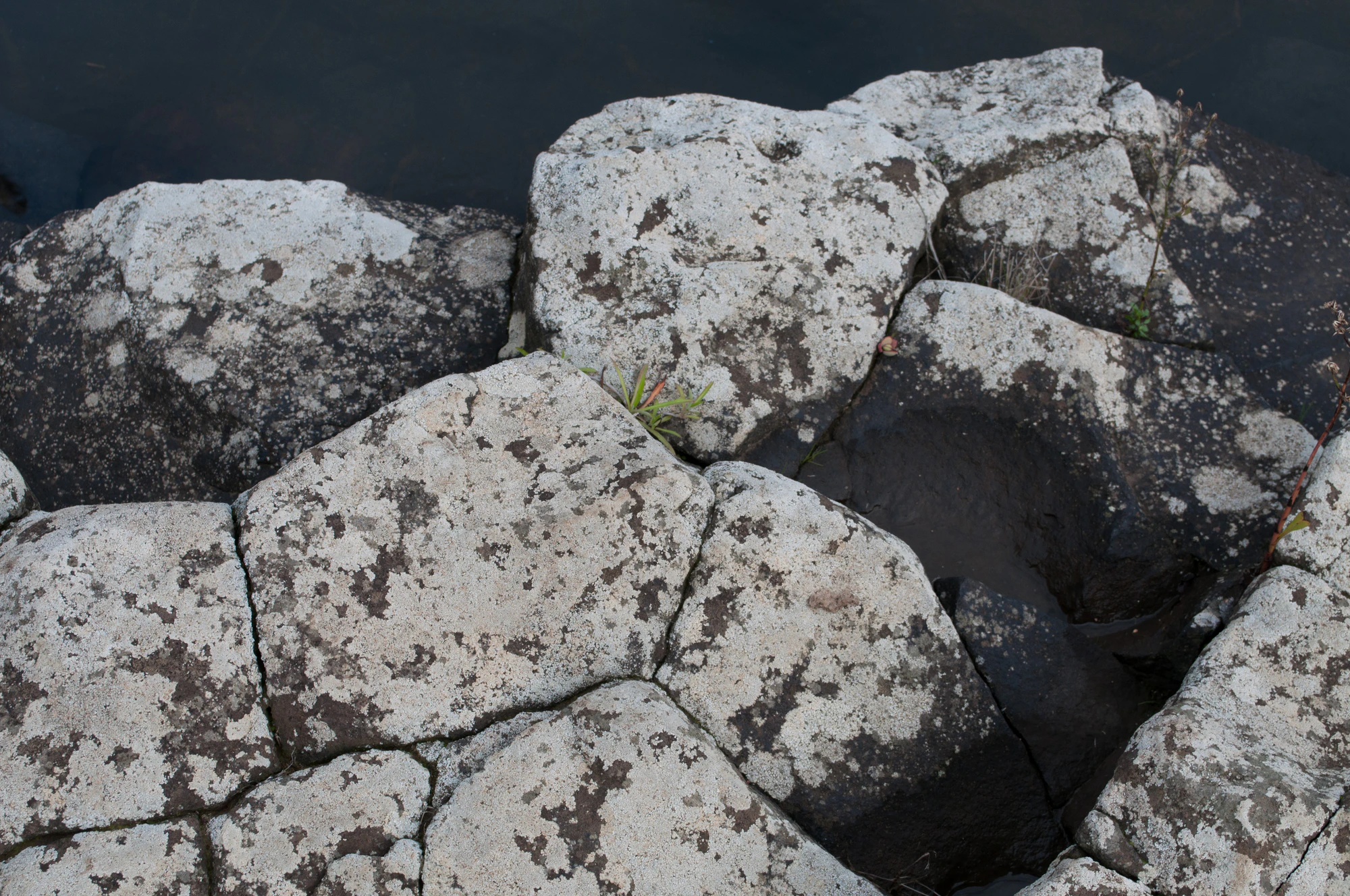 189 — Скачать