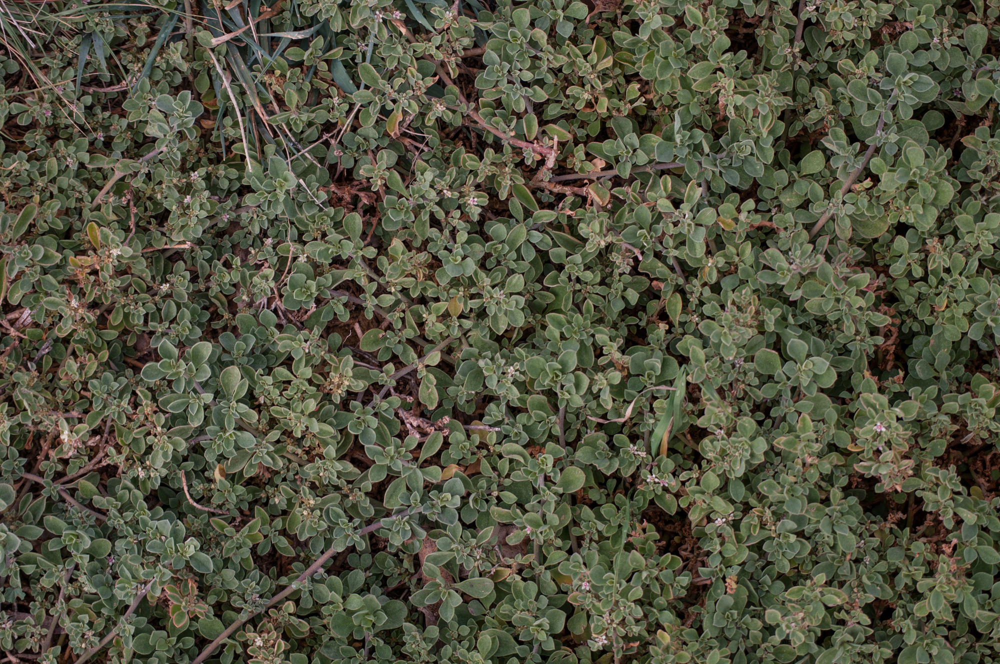 072 — Скачать