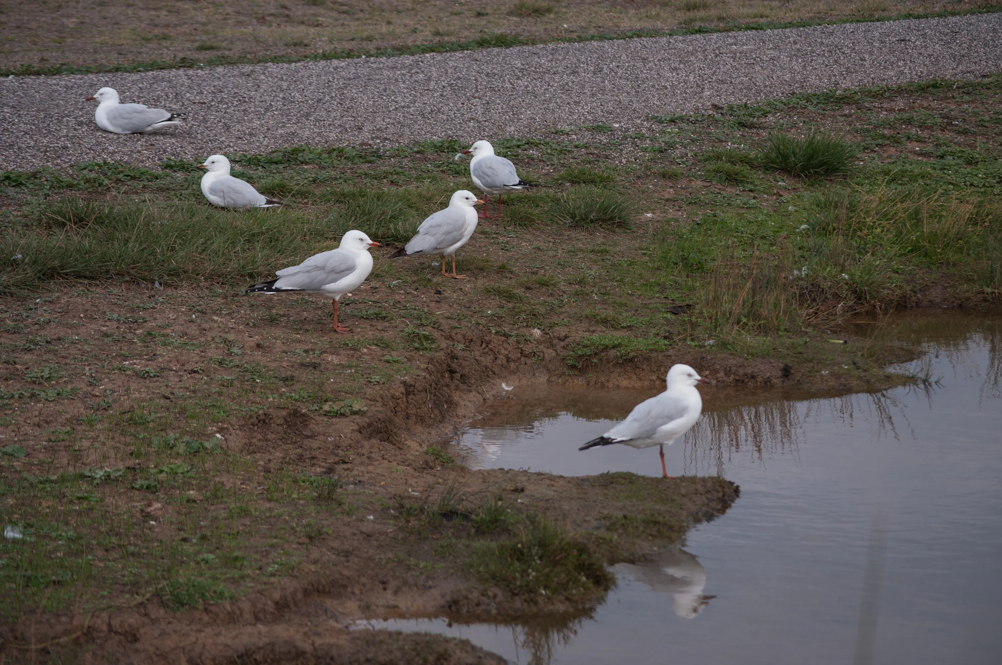 075 — Скачать