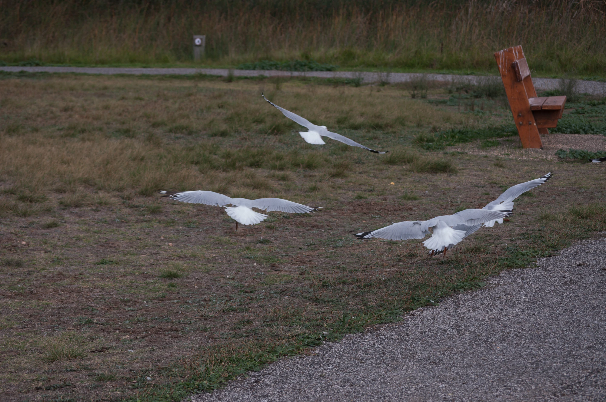 077 — Скачать