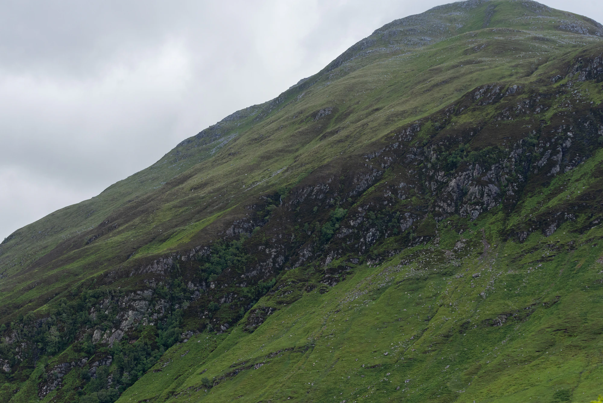 443 — Скачать