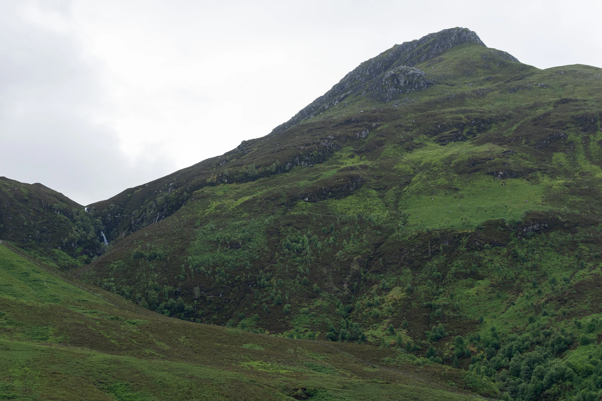 446 — Скачать