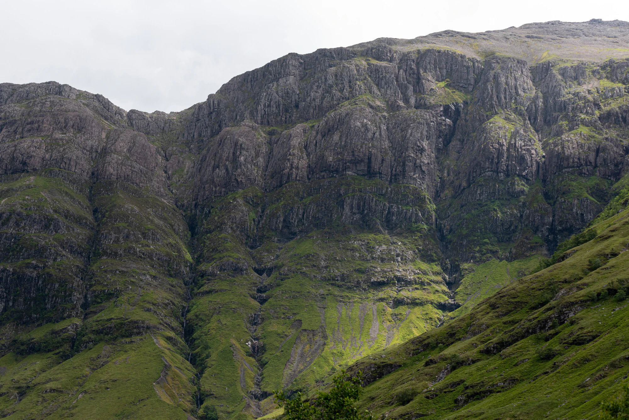 461 — Скачать