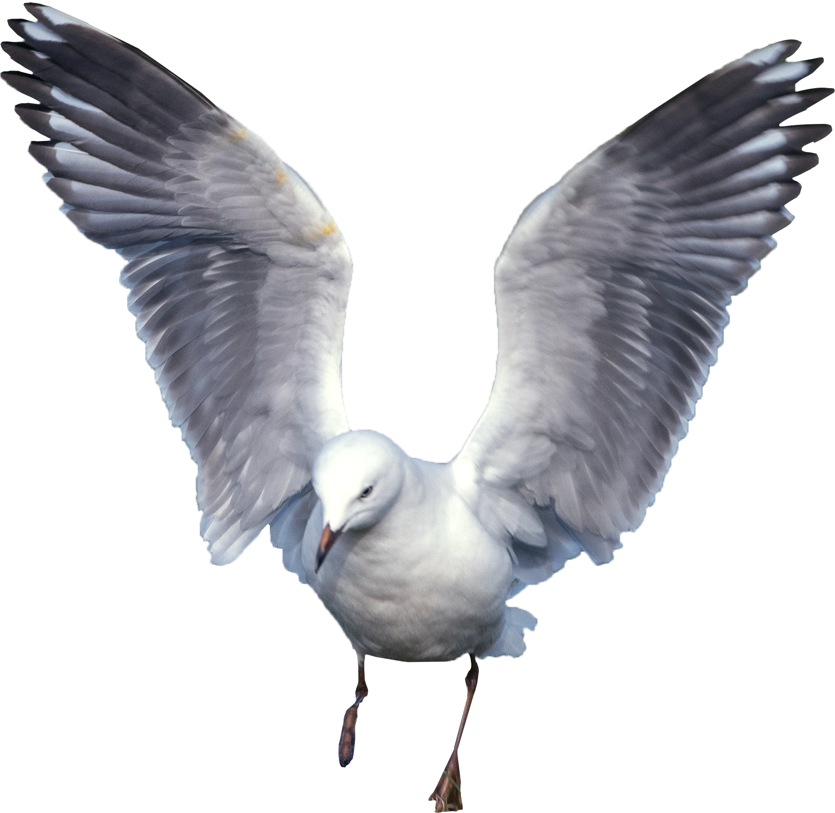 043 — Скачать