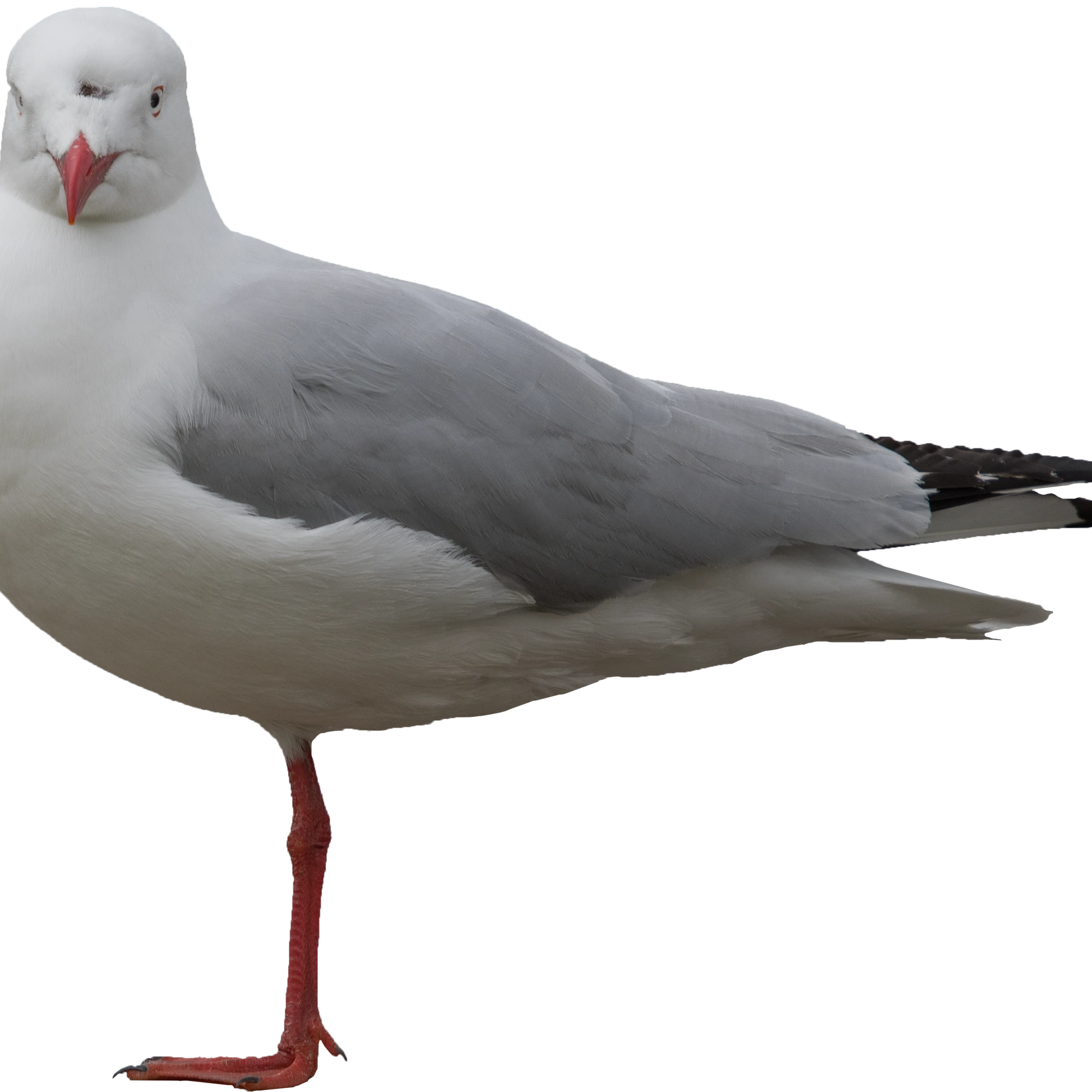 048 — Скачать