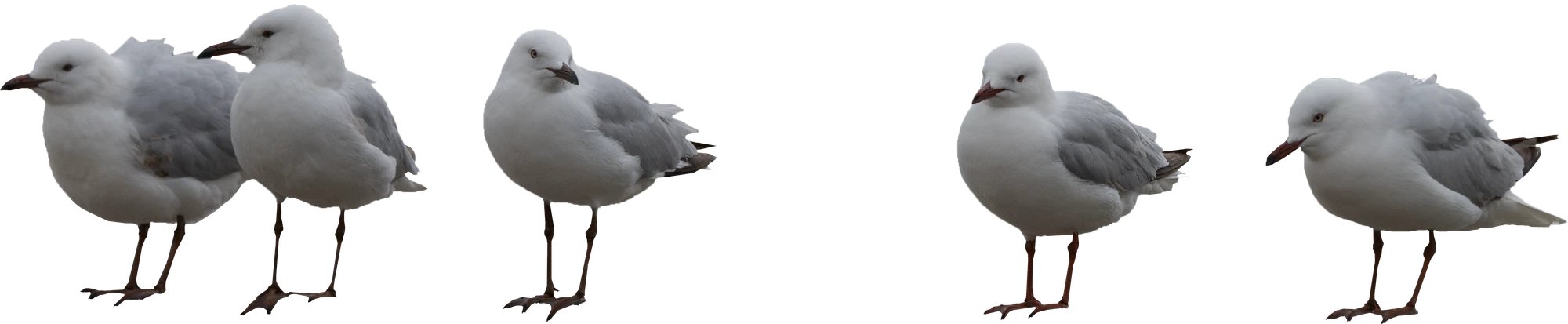 049 — Скачать