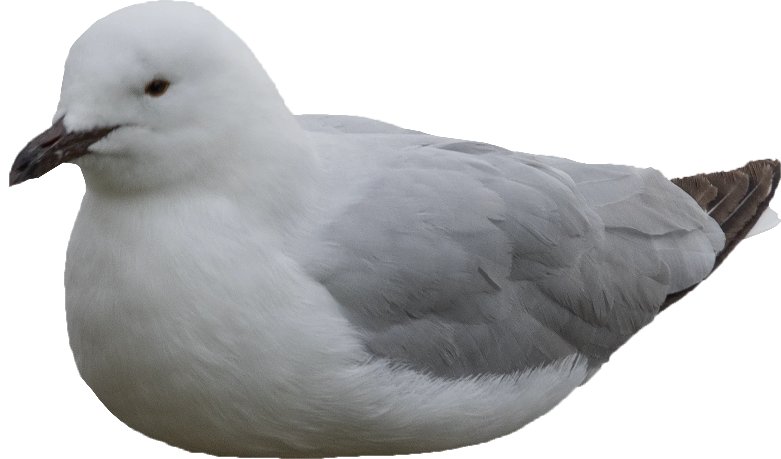 073 — Скачать