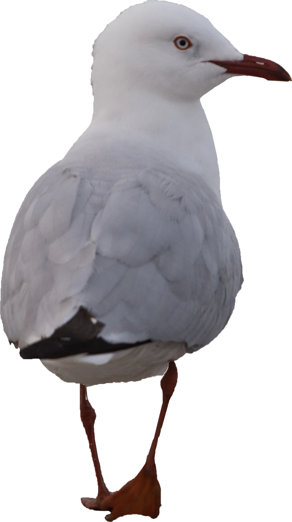 076 — Скачать