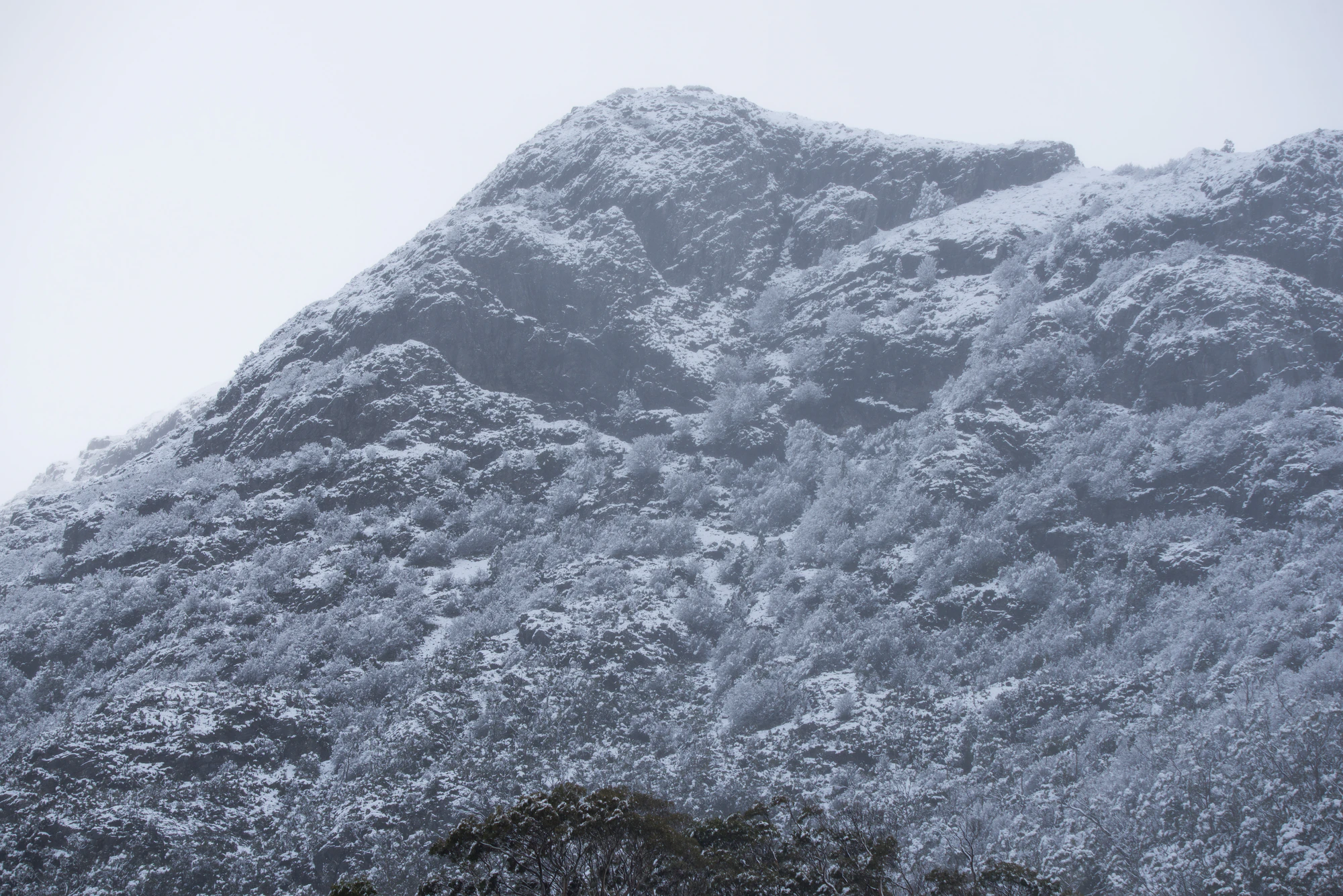 189 — Скачать