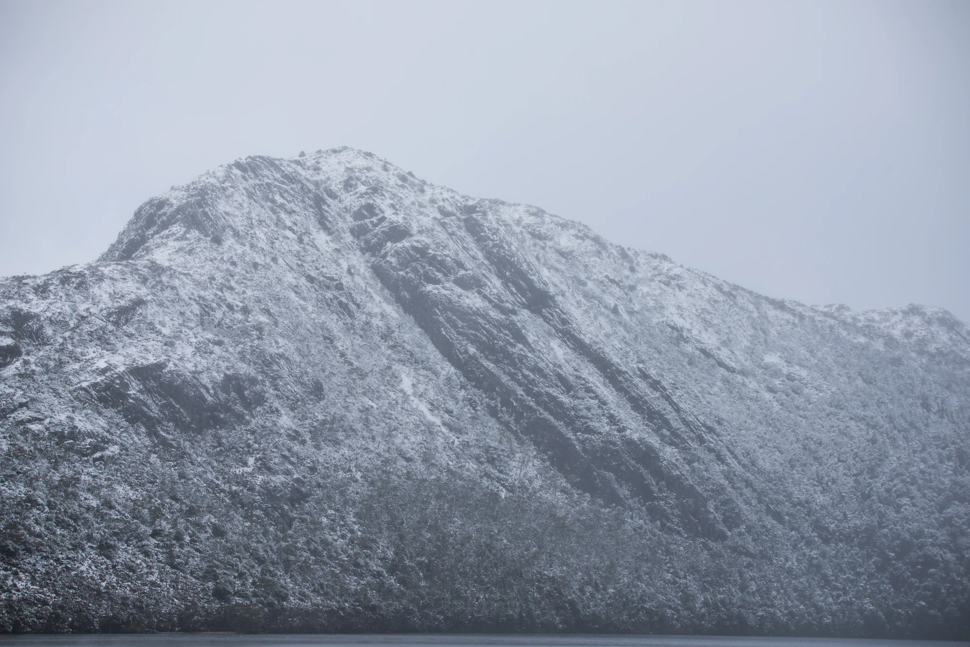 203 — Скачать