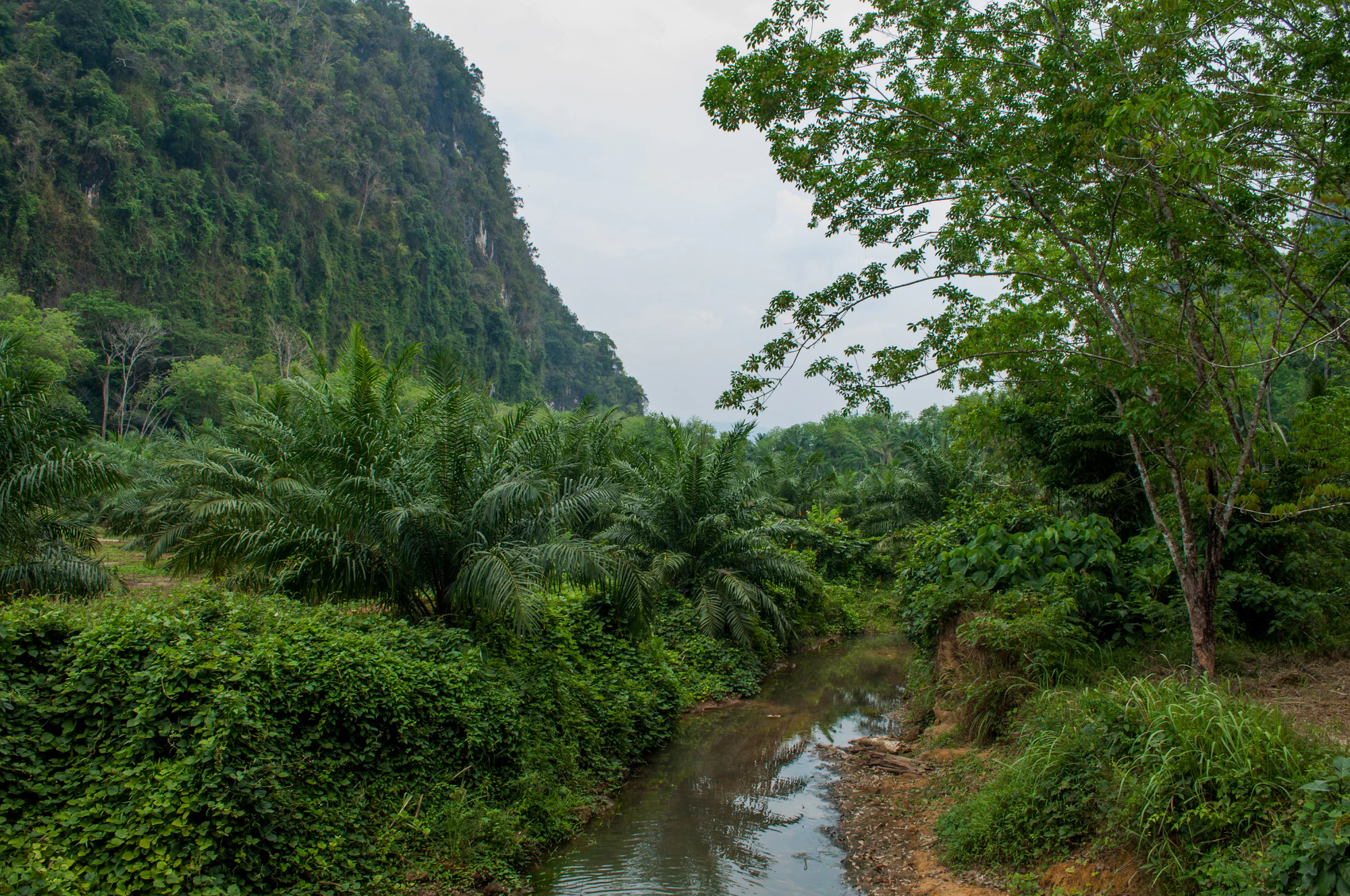 109 — Скачать