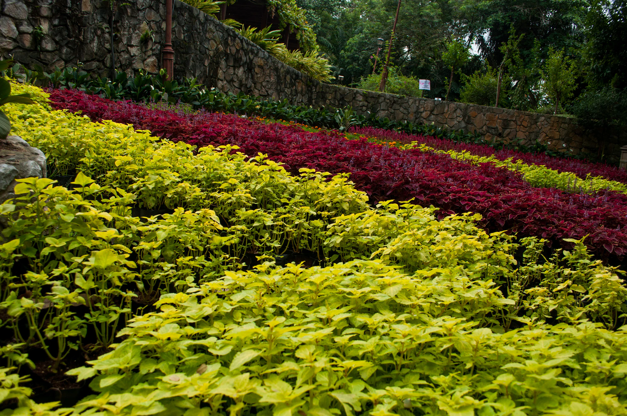 111 — Скачать