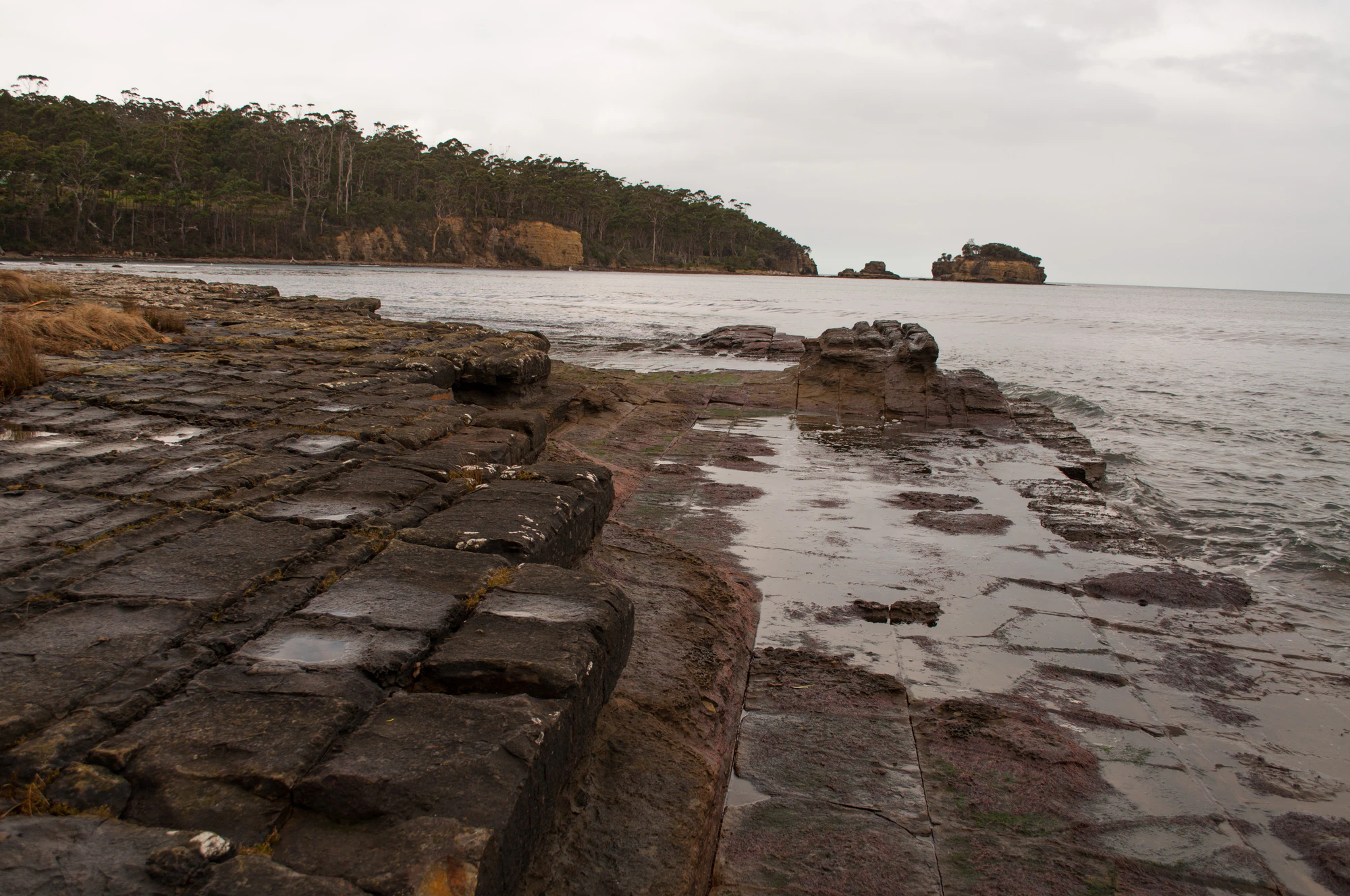 088 — Скачать