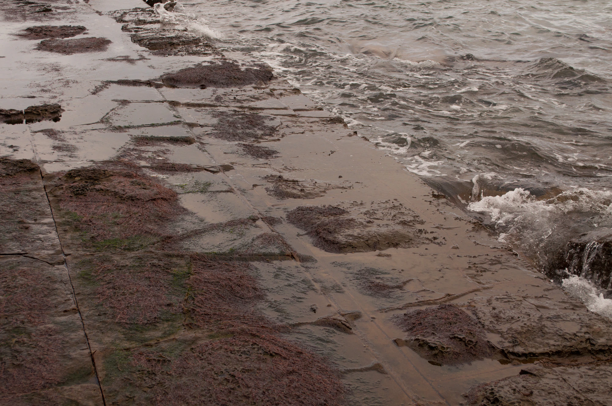 090 — Скачать