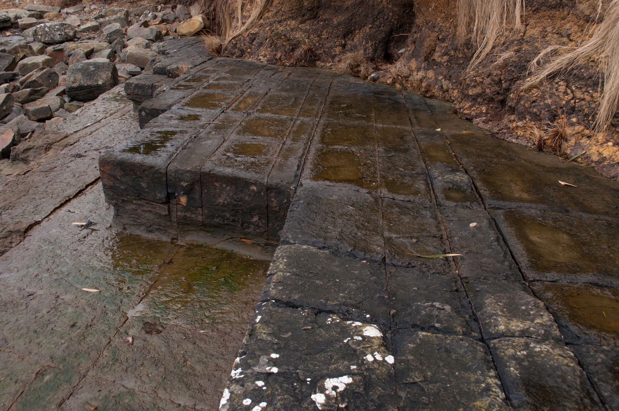 091 — Скачать