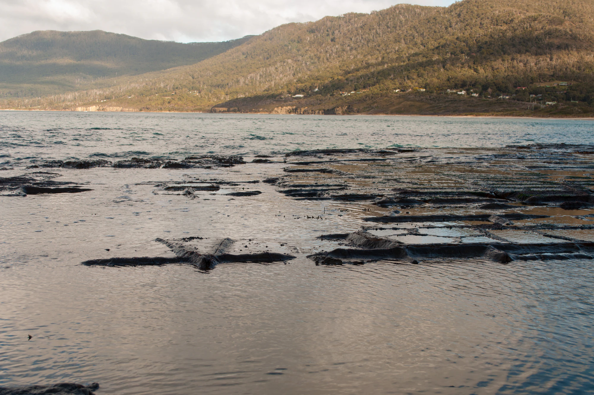 116 — Скачать