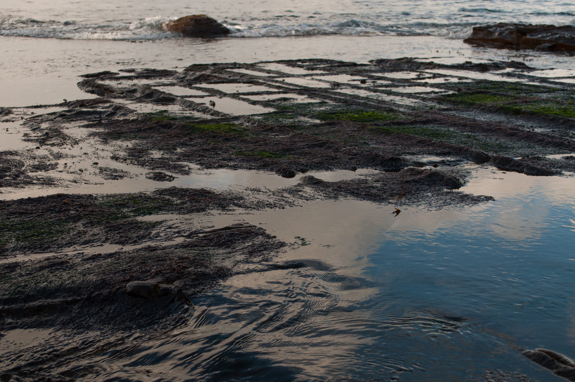 118 — Скачать