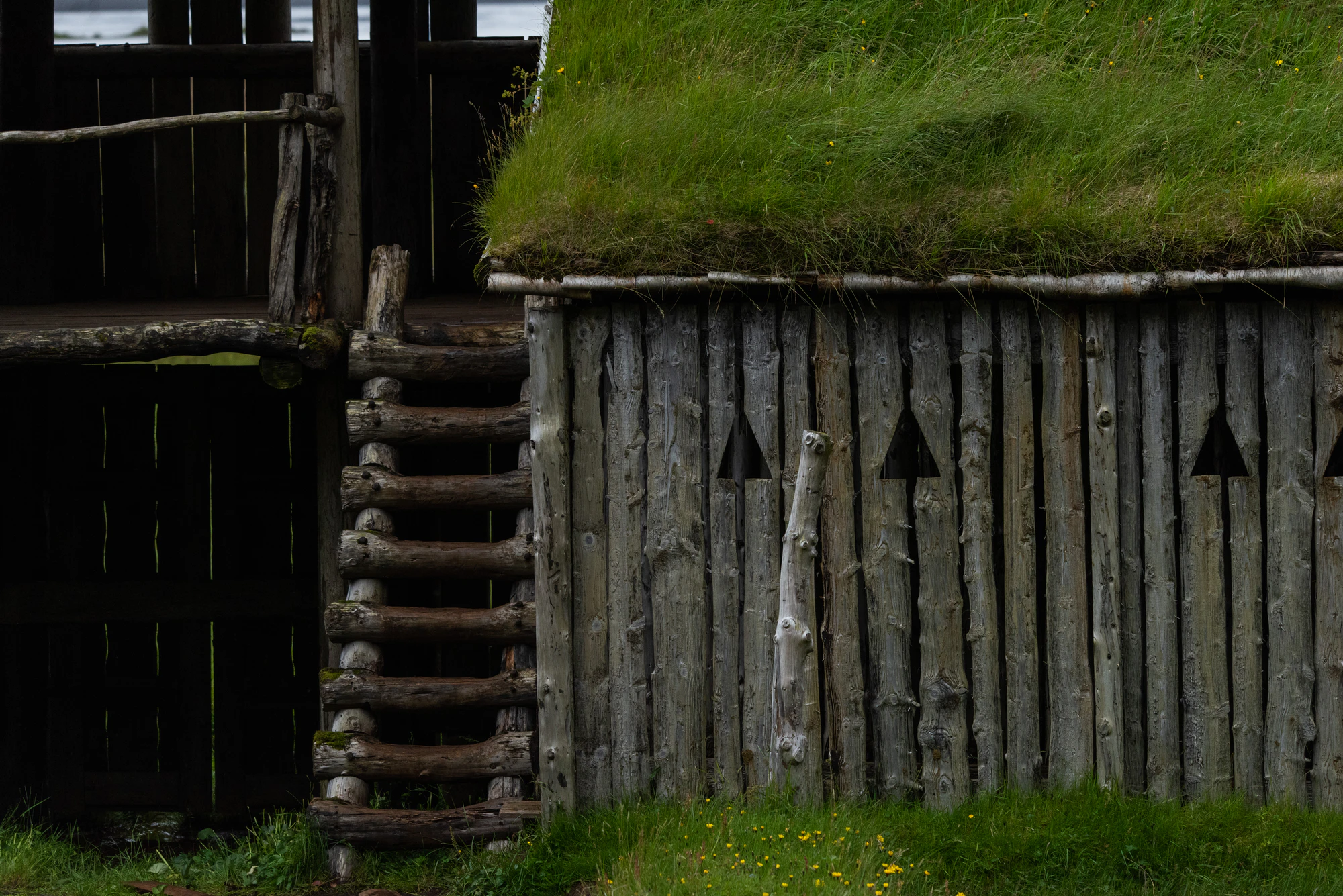 144 — Скачать