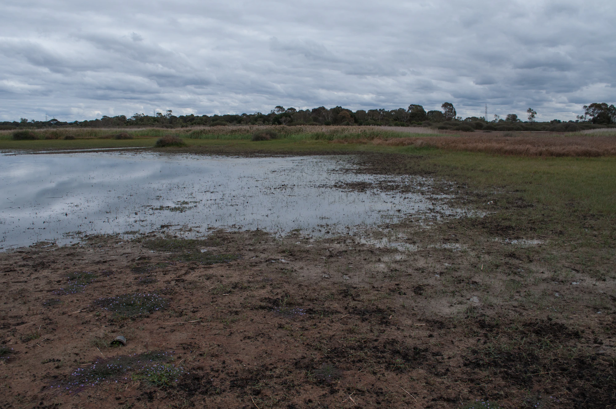 227 — Скачать