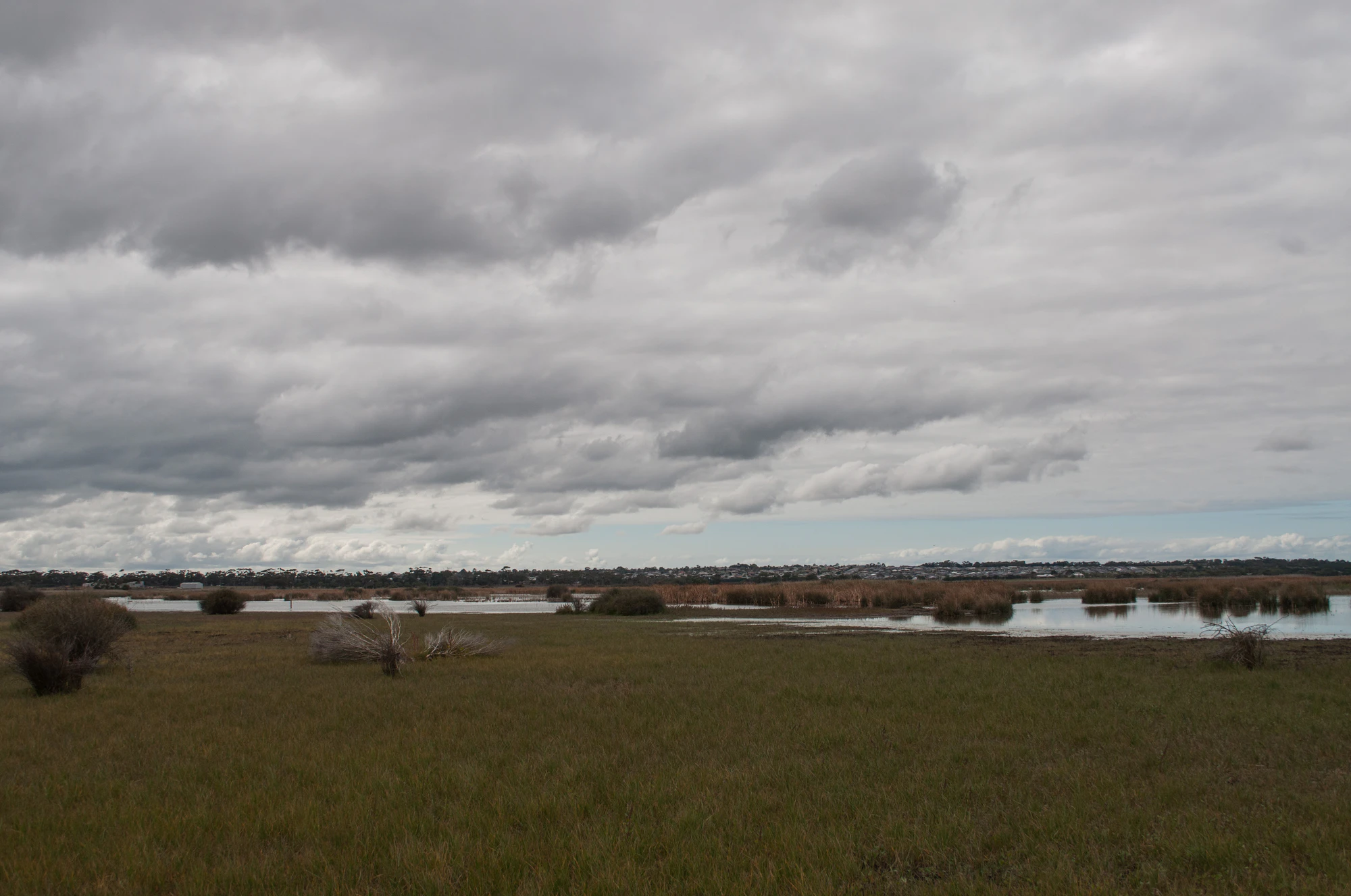 237 — Скачать