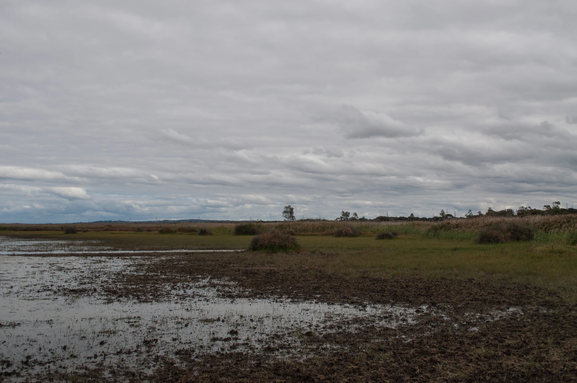 240 — Скачать