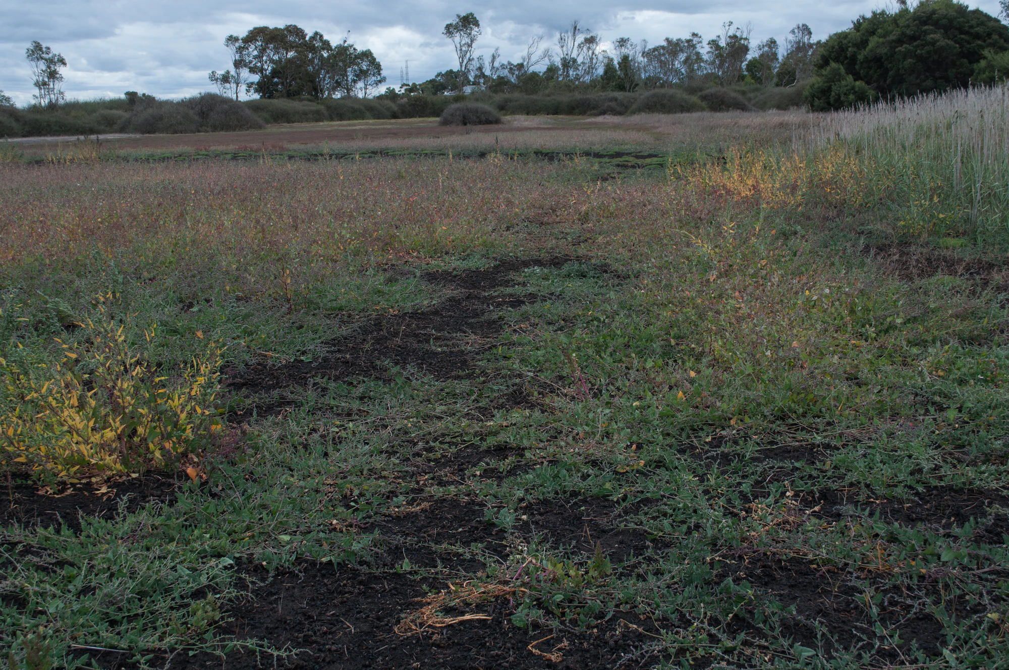 242 — Скачать