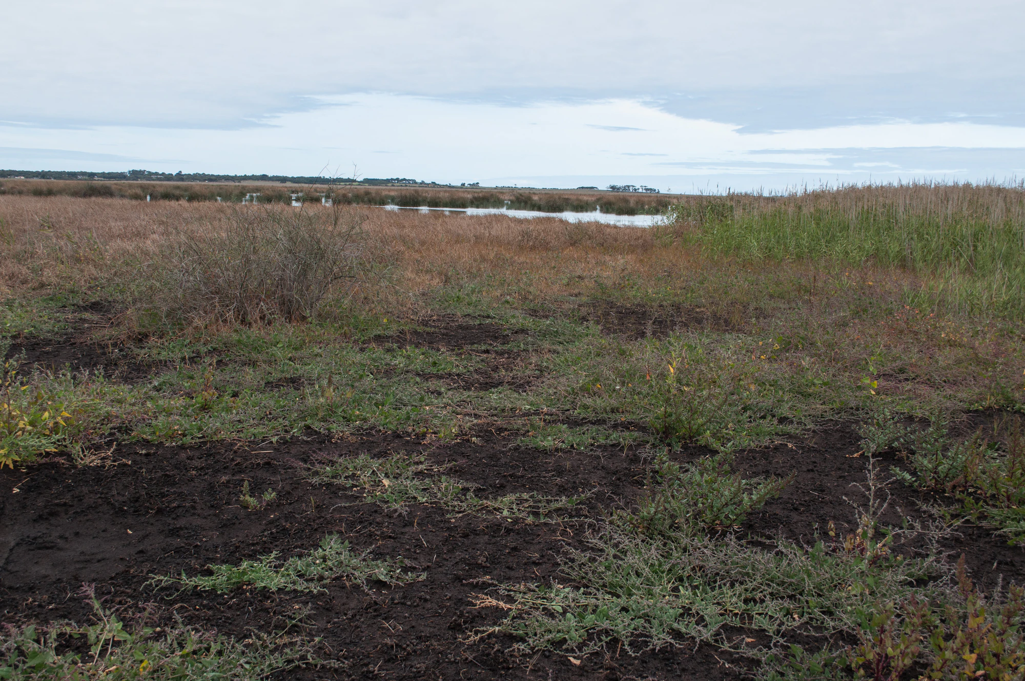 245 — Скачать