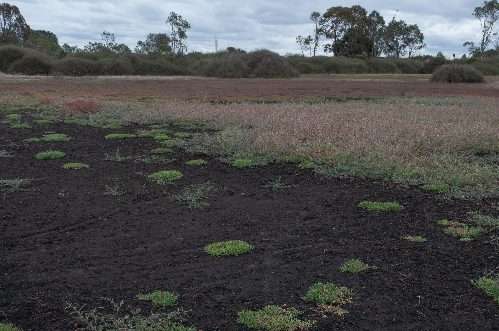 248 — Скачать