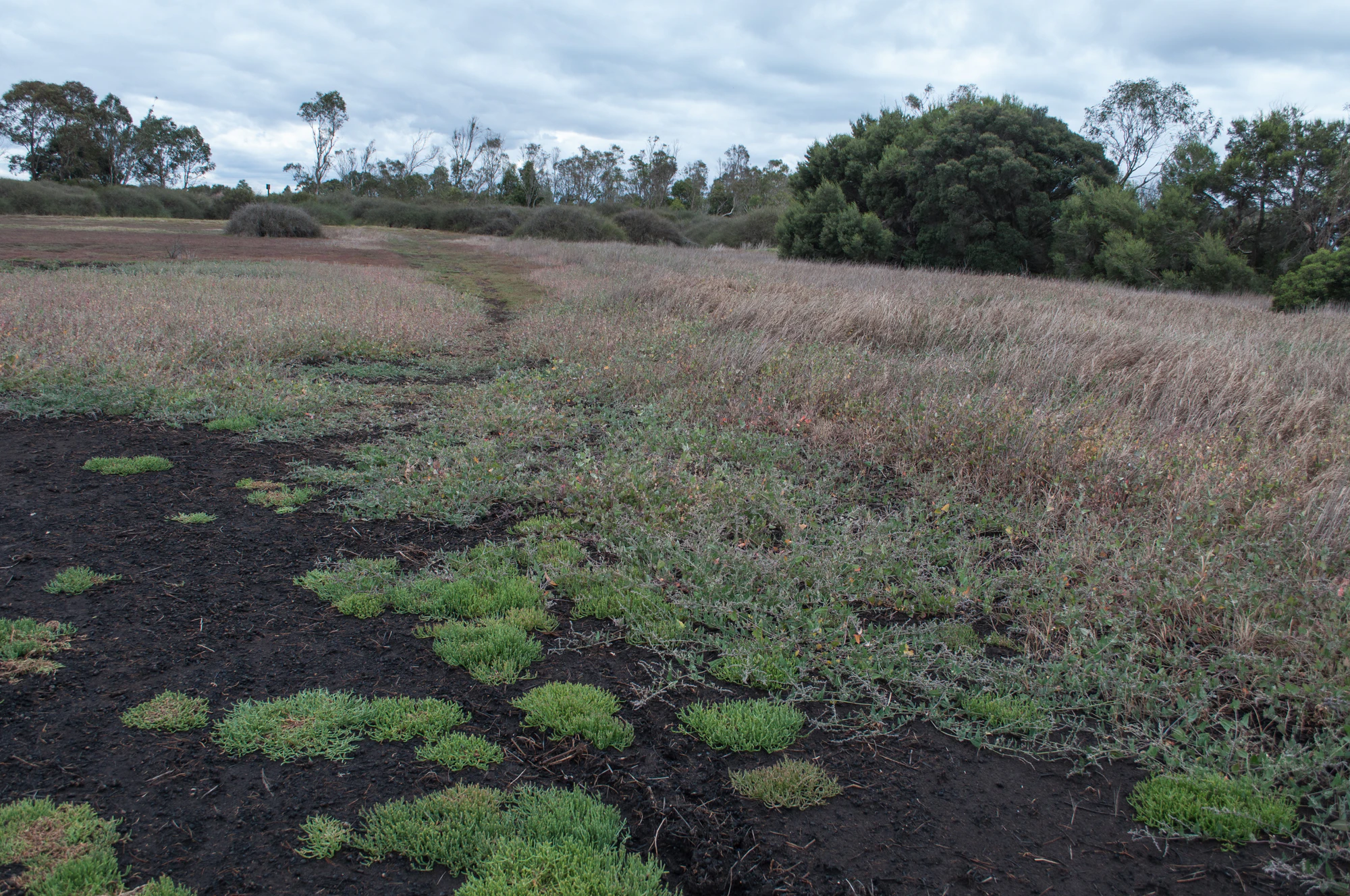 249 — Скачать