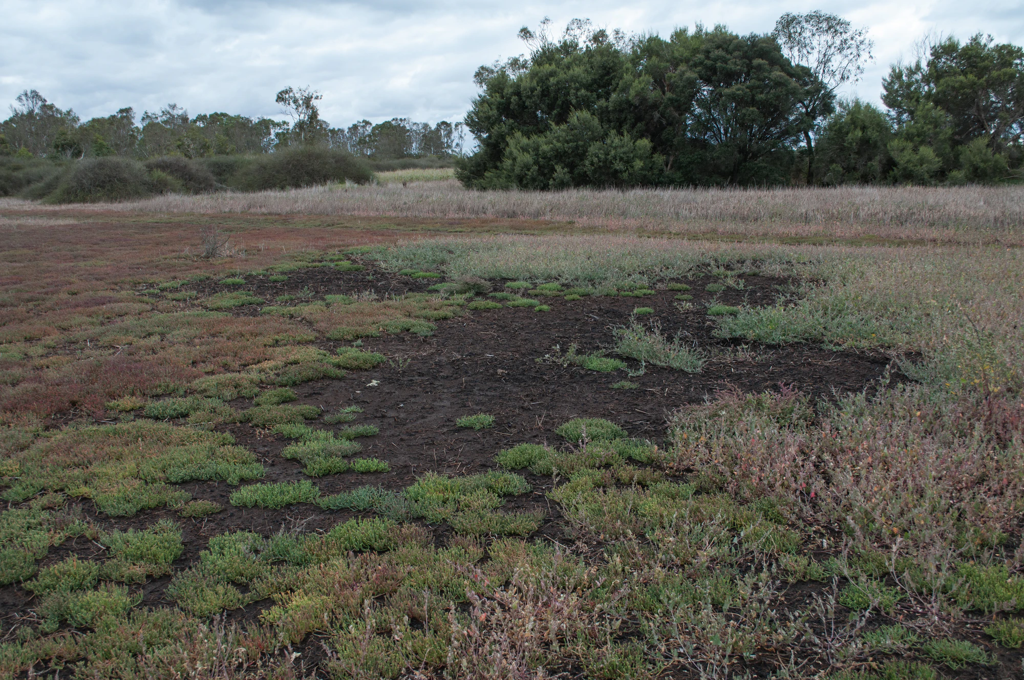 257 — Скачать