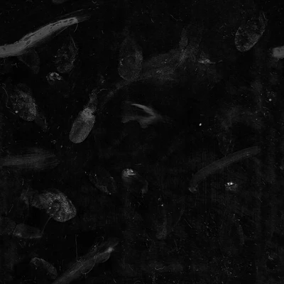 smudge 005 — download